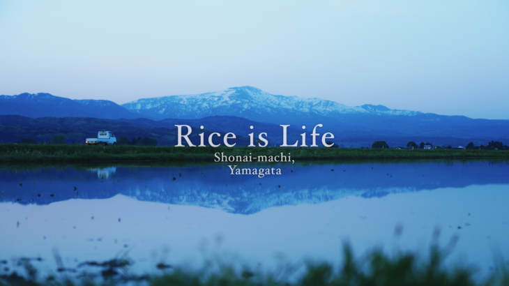 山形庄内かめこめプロジェクト ブランドPRムービー「Rice is Life」